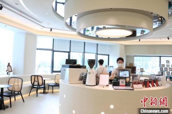 1689837601803217.jpeg 海归青年河南创业 “中茶西做”打造“年轻派”茶空间1.jpeg