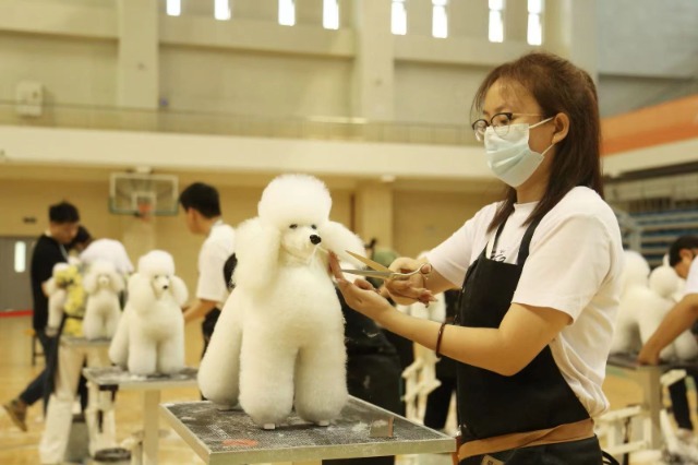 北京农业职业学院.jpg