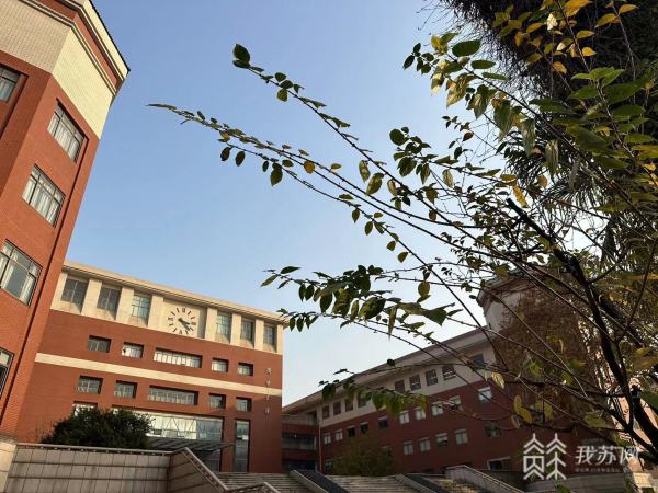 基础教育跨学科融合、职业教育打出“非遗”创意 江苏教育现代化30年展示“无锡答卷”.jpg