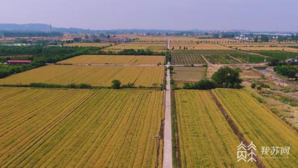 村校共建教育实践基地！南京高等职业技术学校深挖专业特色 帮扶农业大户1.jpg